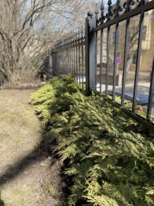 Nurmikko haravoinnin jälkeen