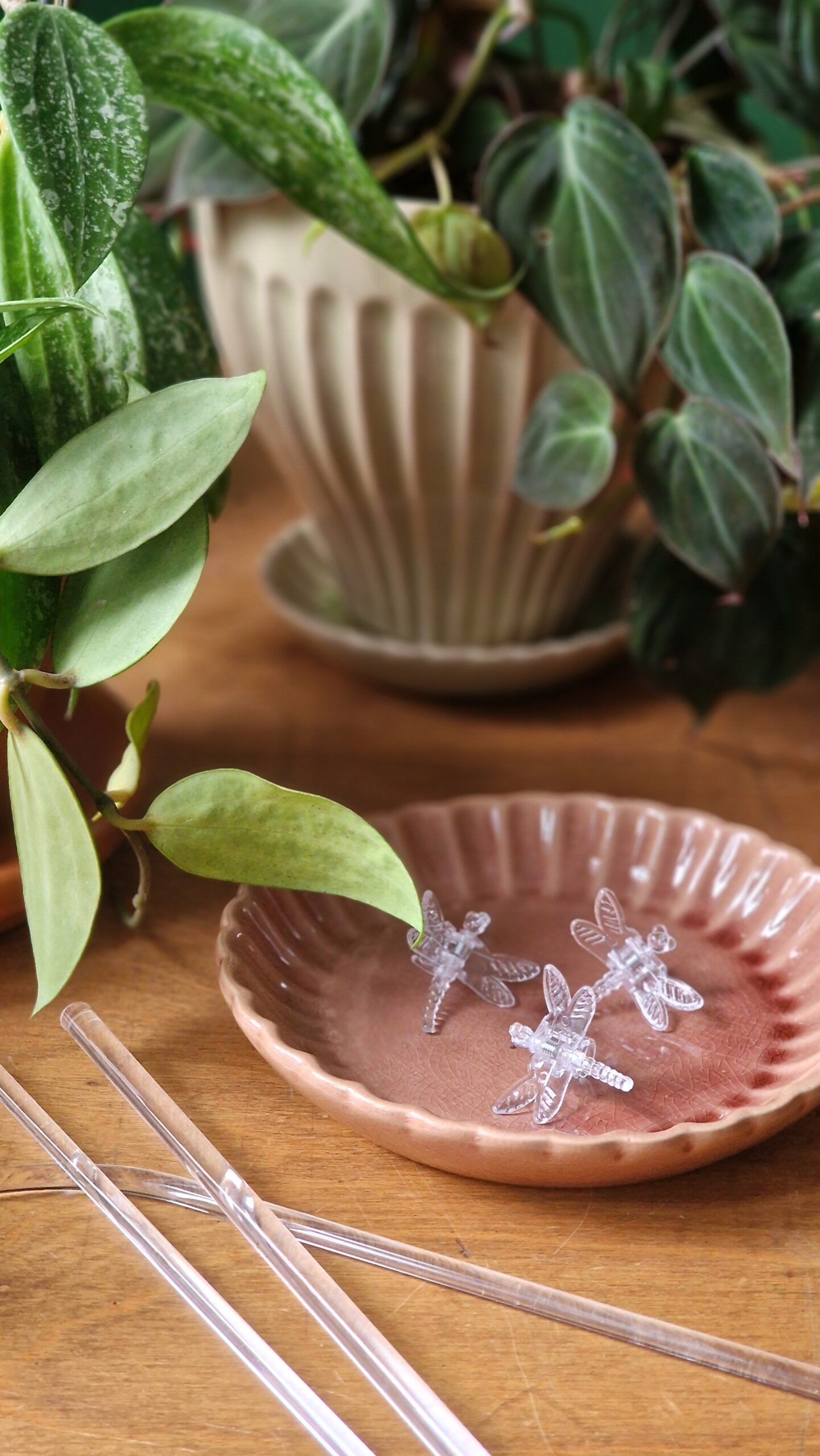 Sudenkorentoklipsi - Image 5