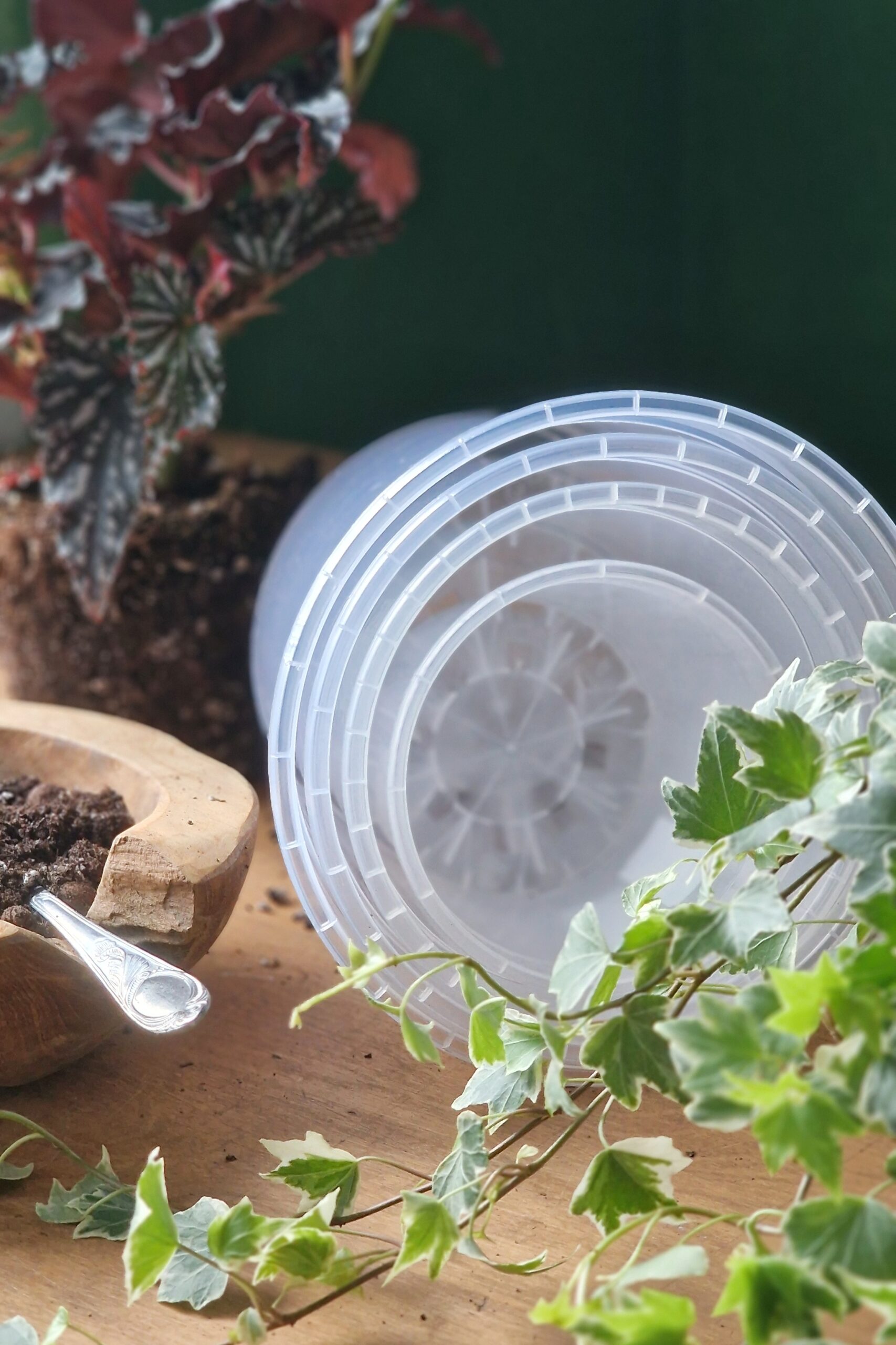 Istutusruukku kirkas 4 kokoa - Image 5