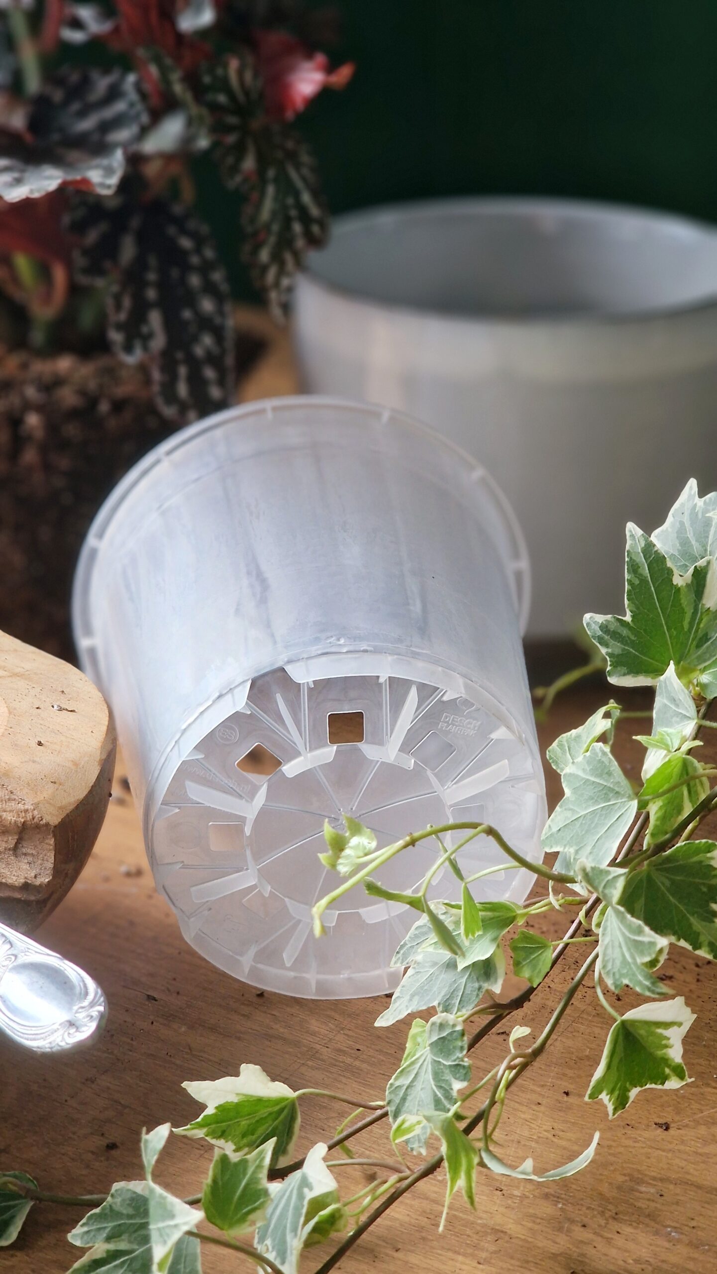 Istutusruukku kirkas 4 kokoa - Image 7