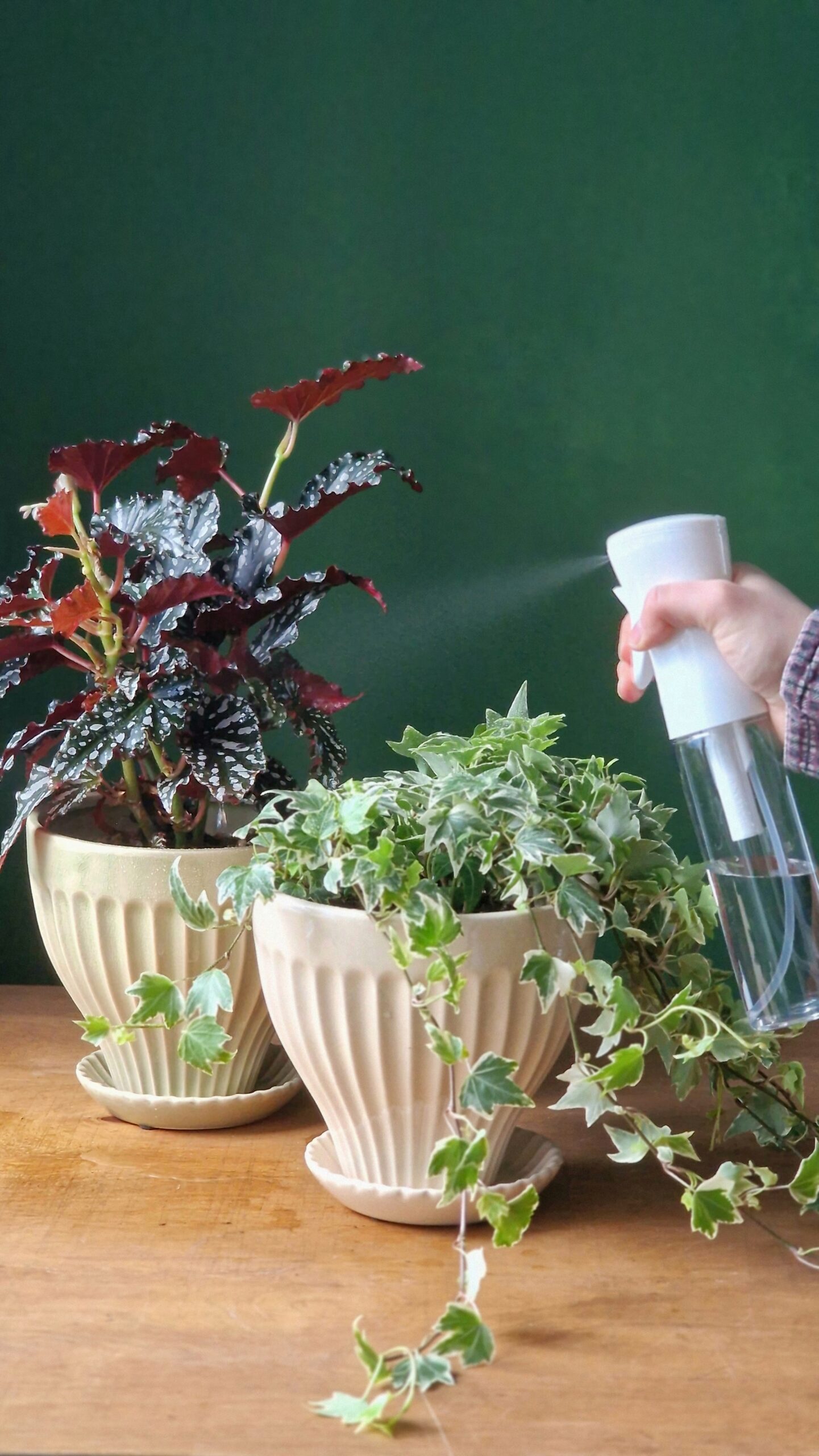 Sumutepullo 300ml - Image 2