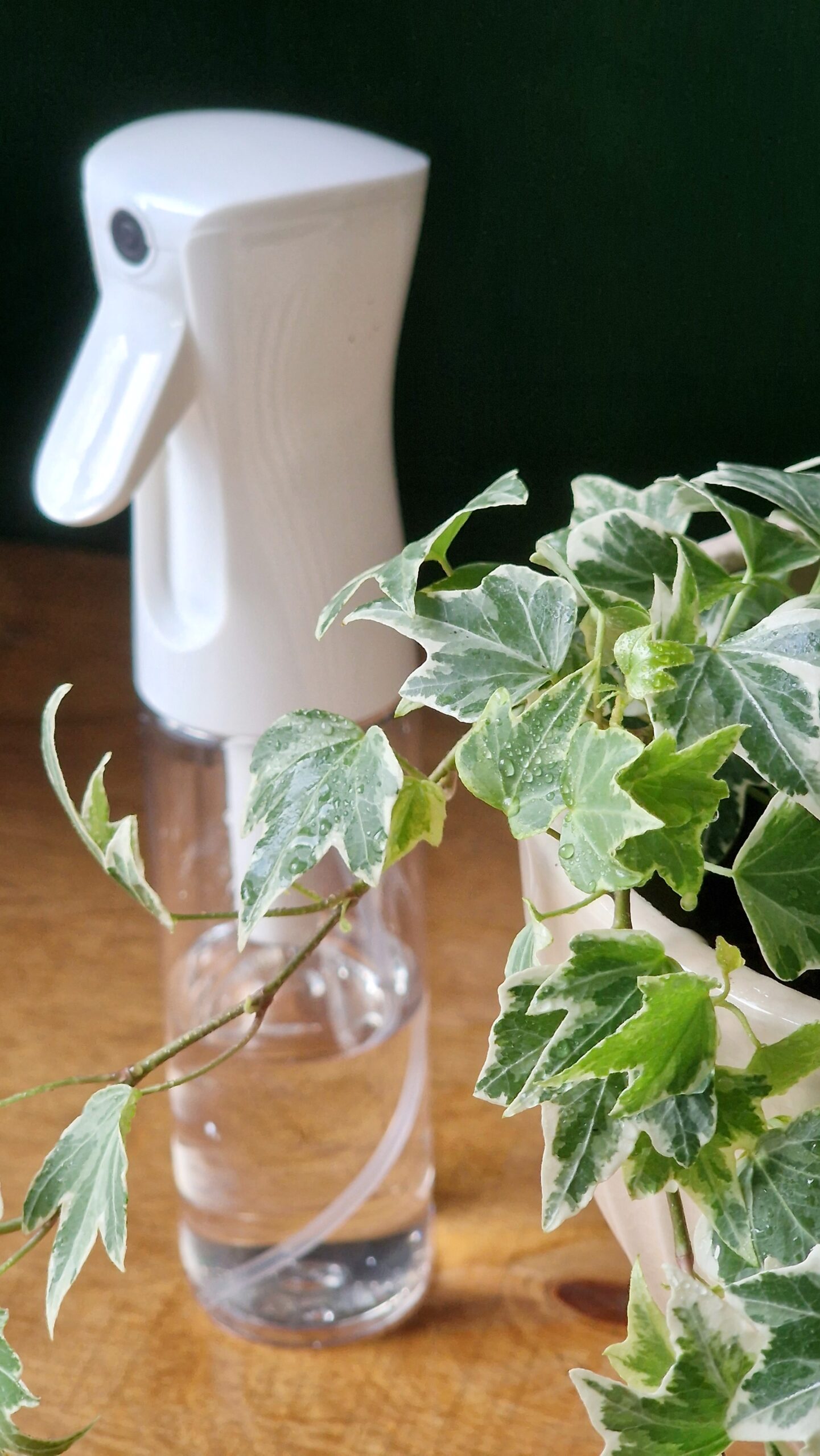 Sumutepullo 300ml - Image 3