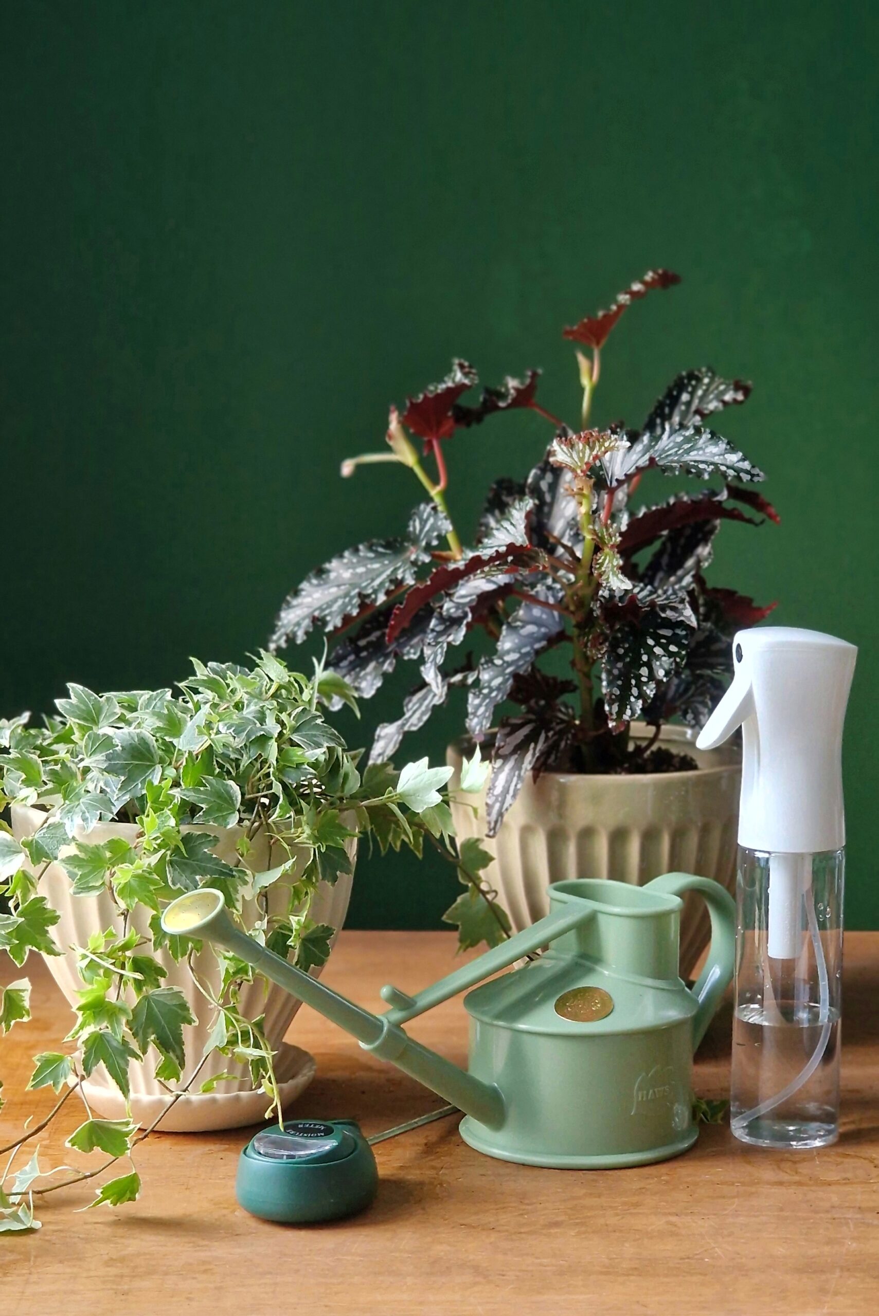 Sumutepullo 300ml - Image 4