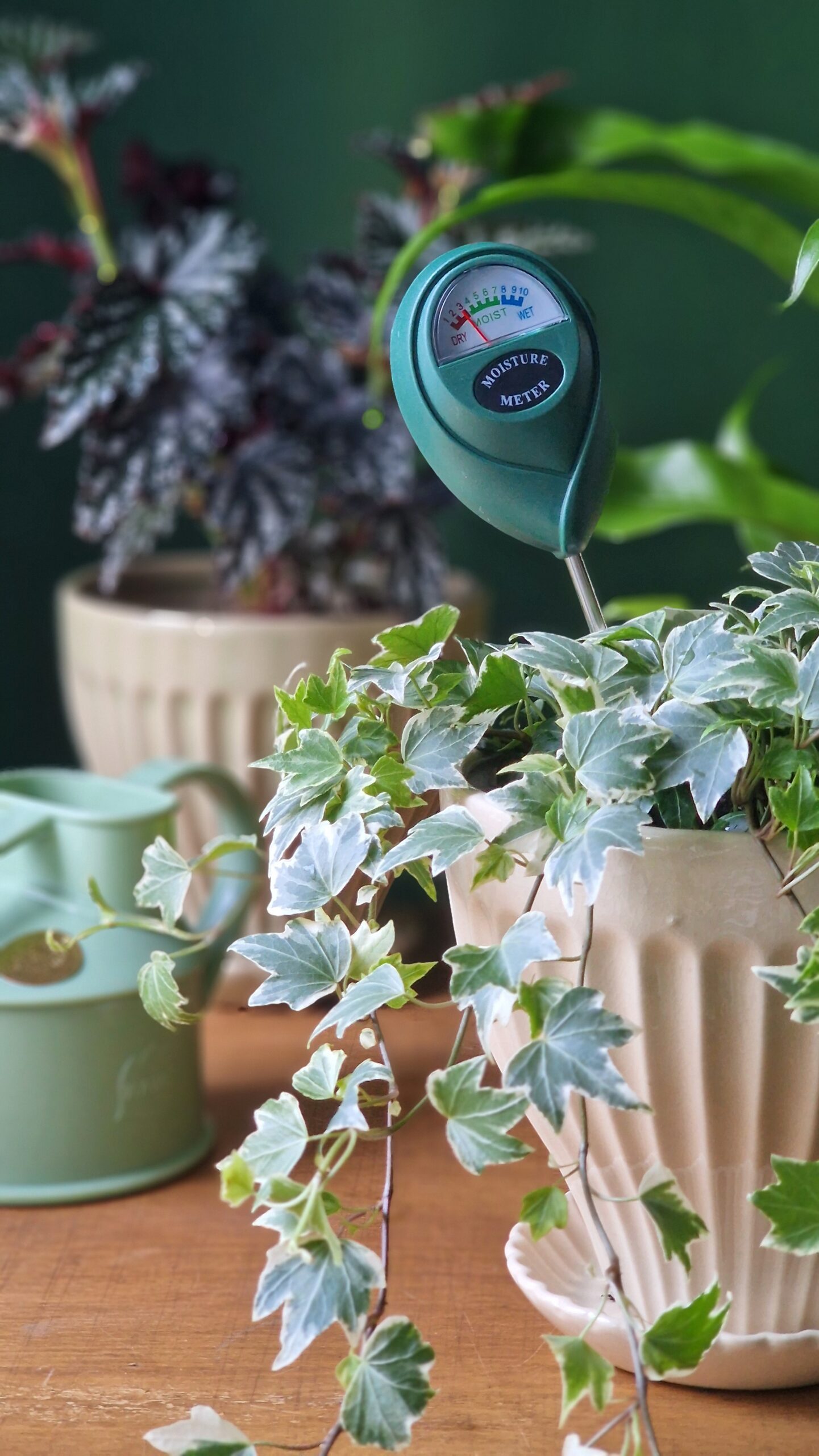 Kosteusmittari - Image 2