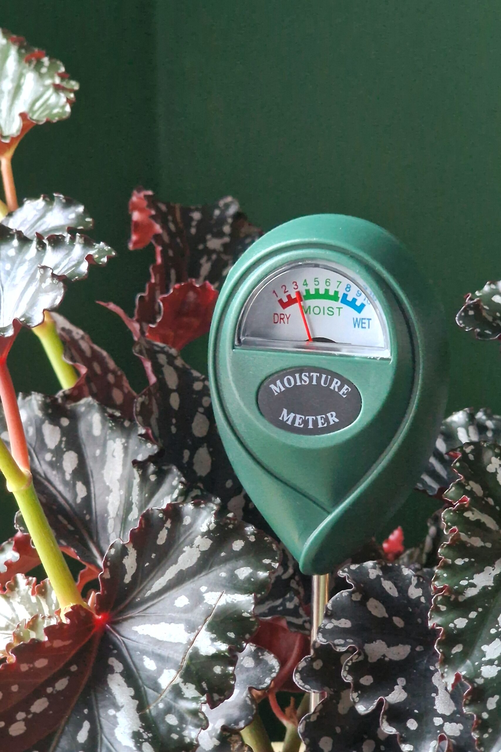 Kosteusmittari - Image 3
