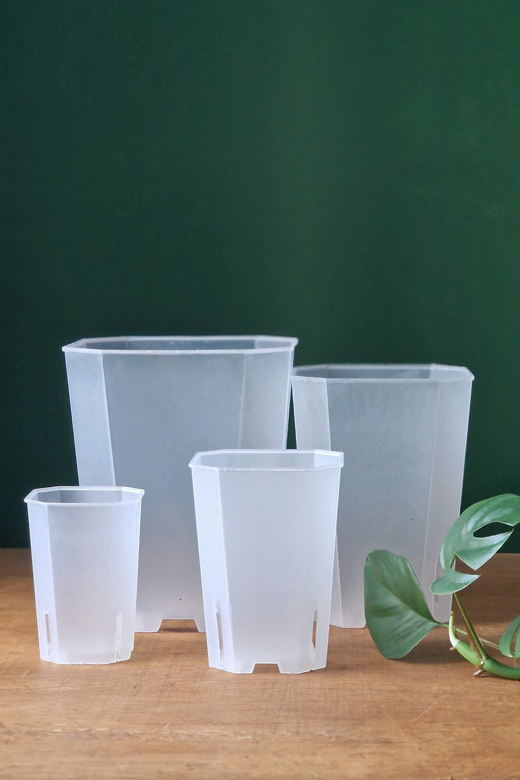 Korkea aroid ruukku 4 kokoa - Image 2