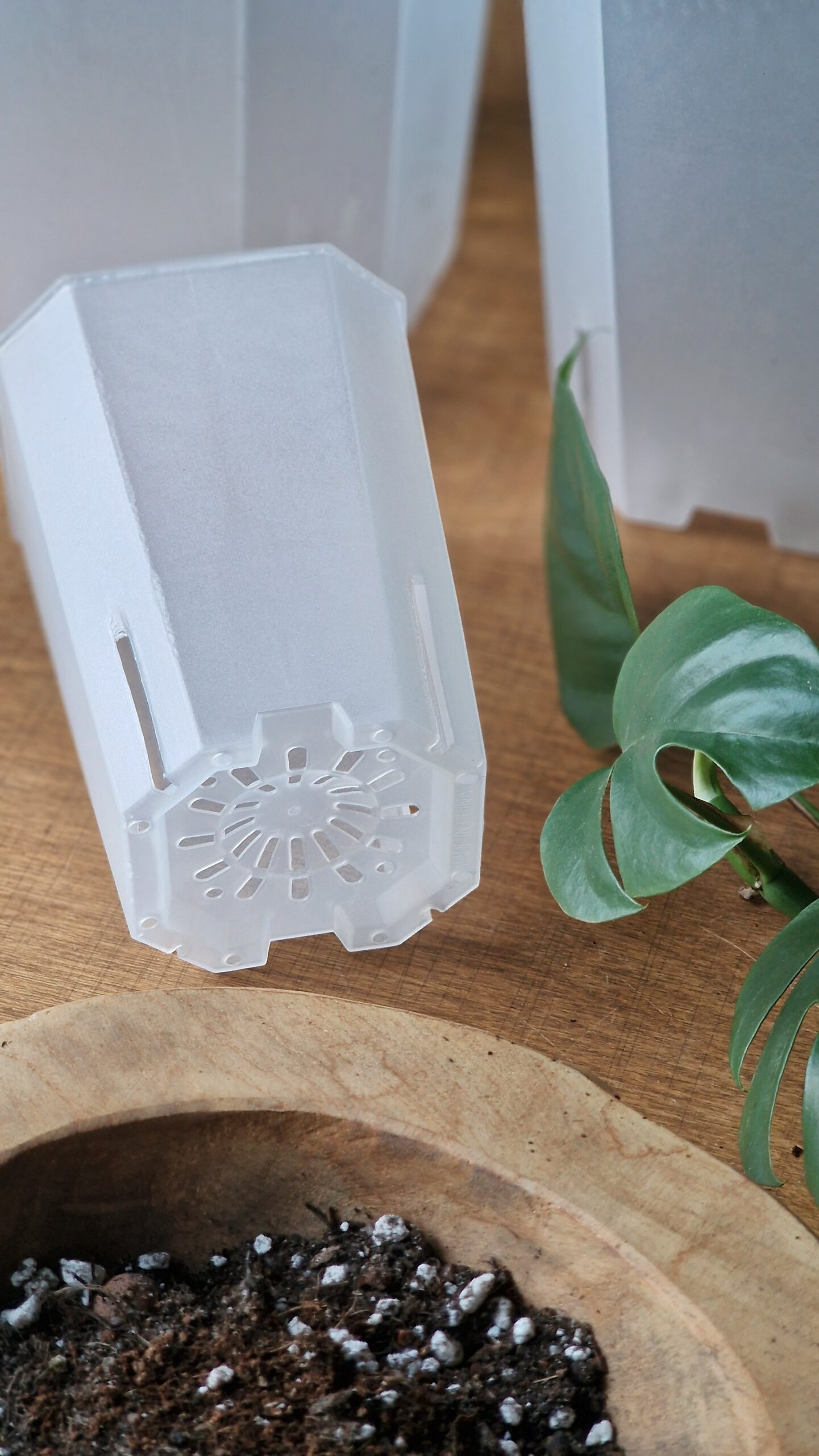 Korkea aroid ruukku 4 kokoa - Image 3