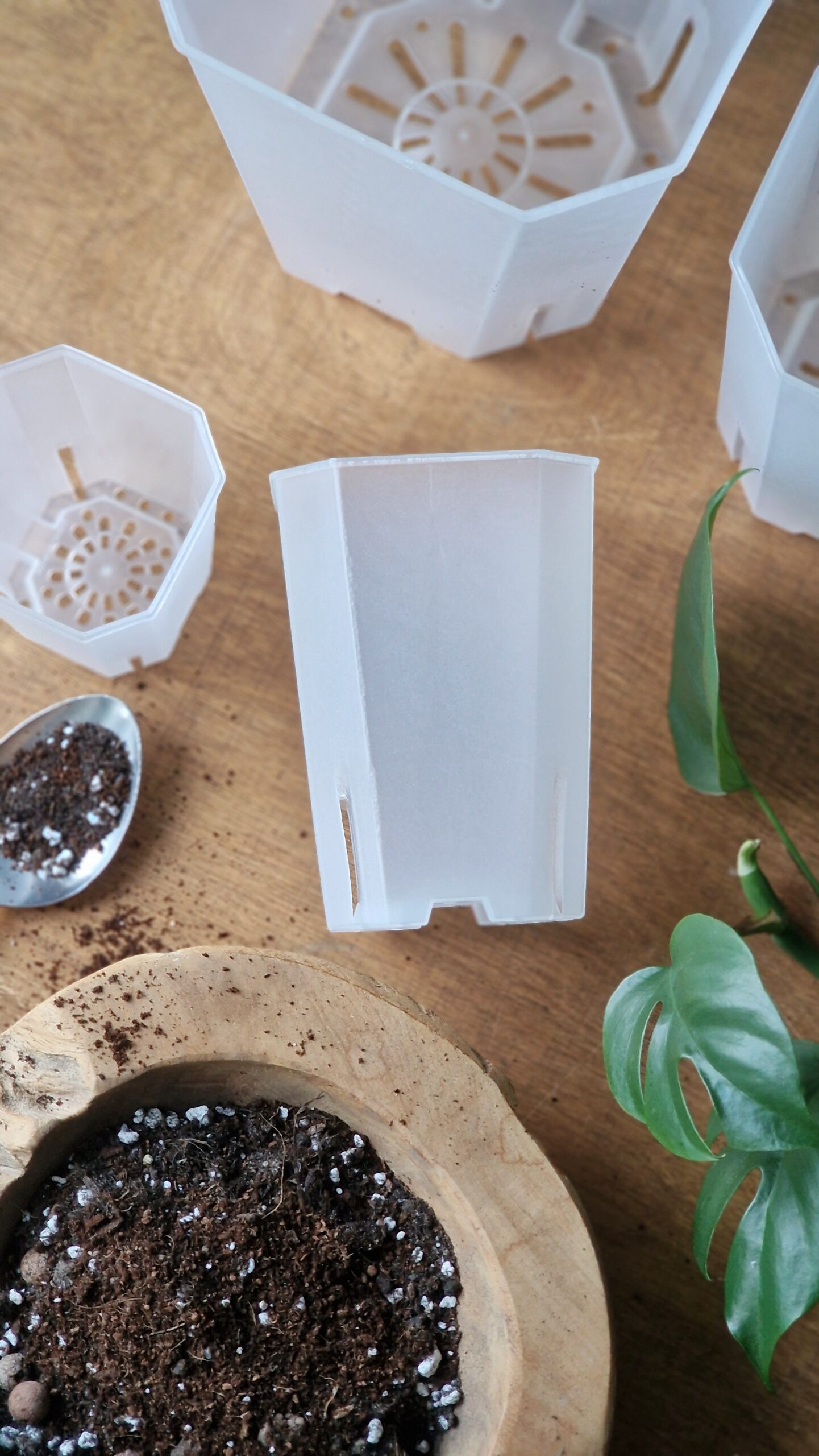 Korkea aroid ruukku 4 kokoa