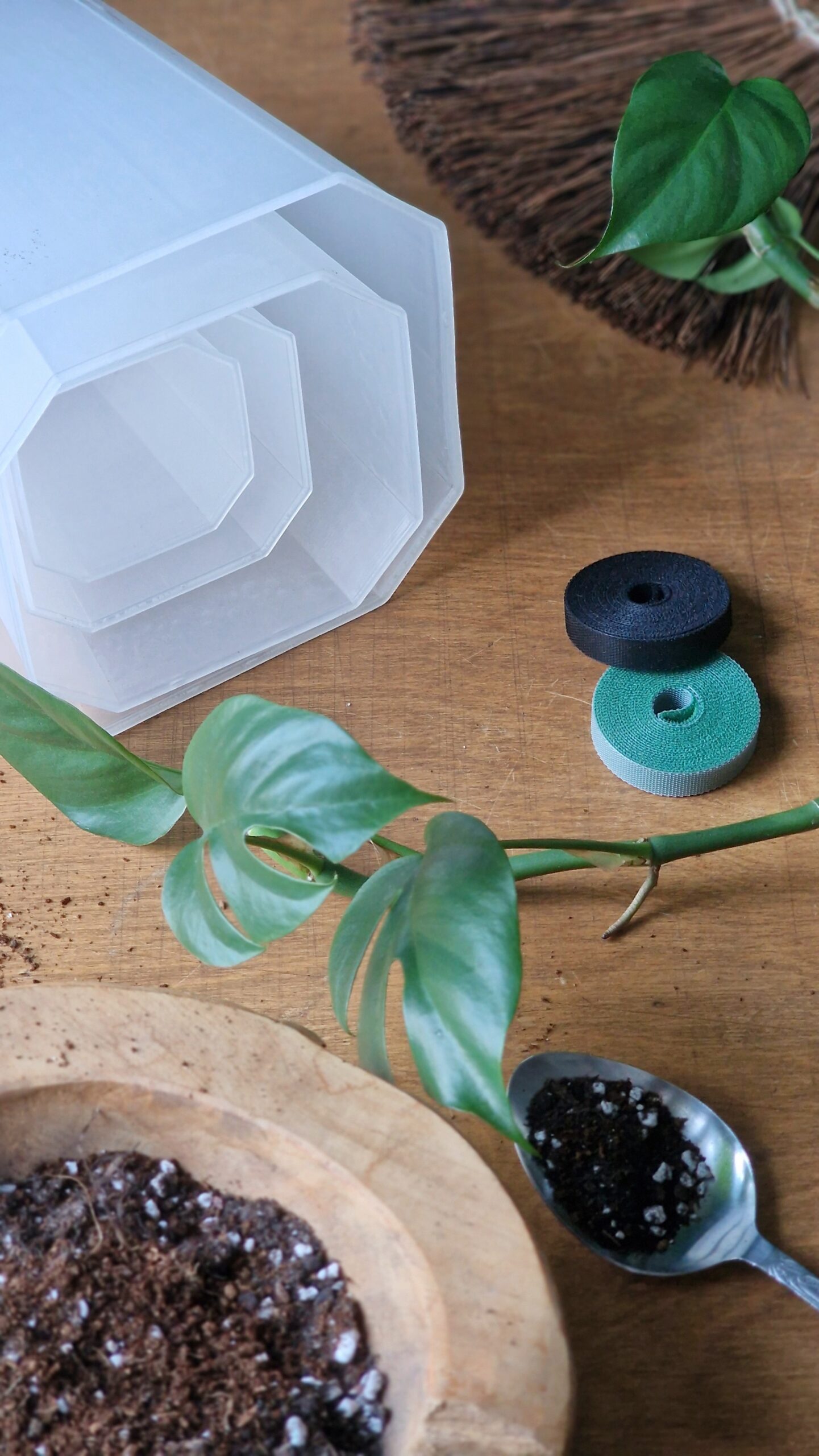 Korkea aroid ruukku 4 kokoa - Image 4