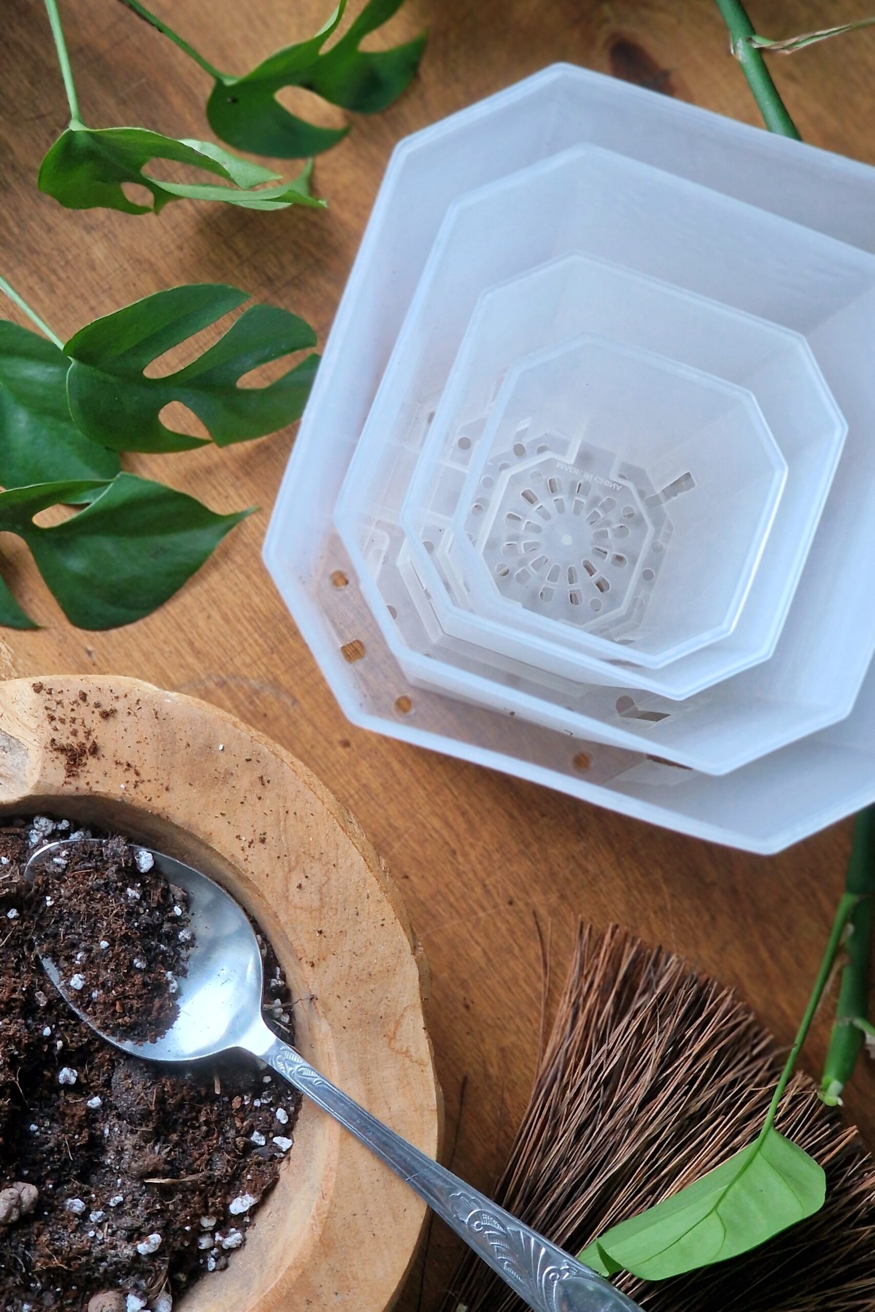 Korkea aroid ruukku 4 kokoa - Image 5