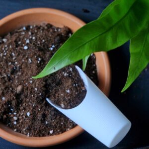 BLACK WEEK! Multalapio