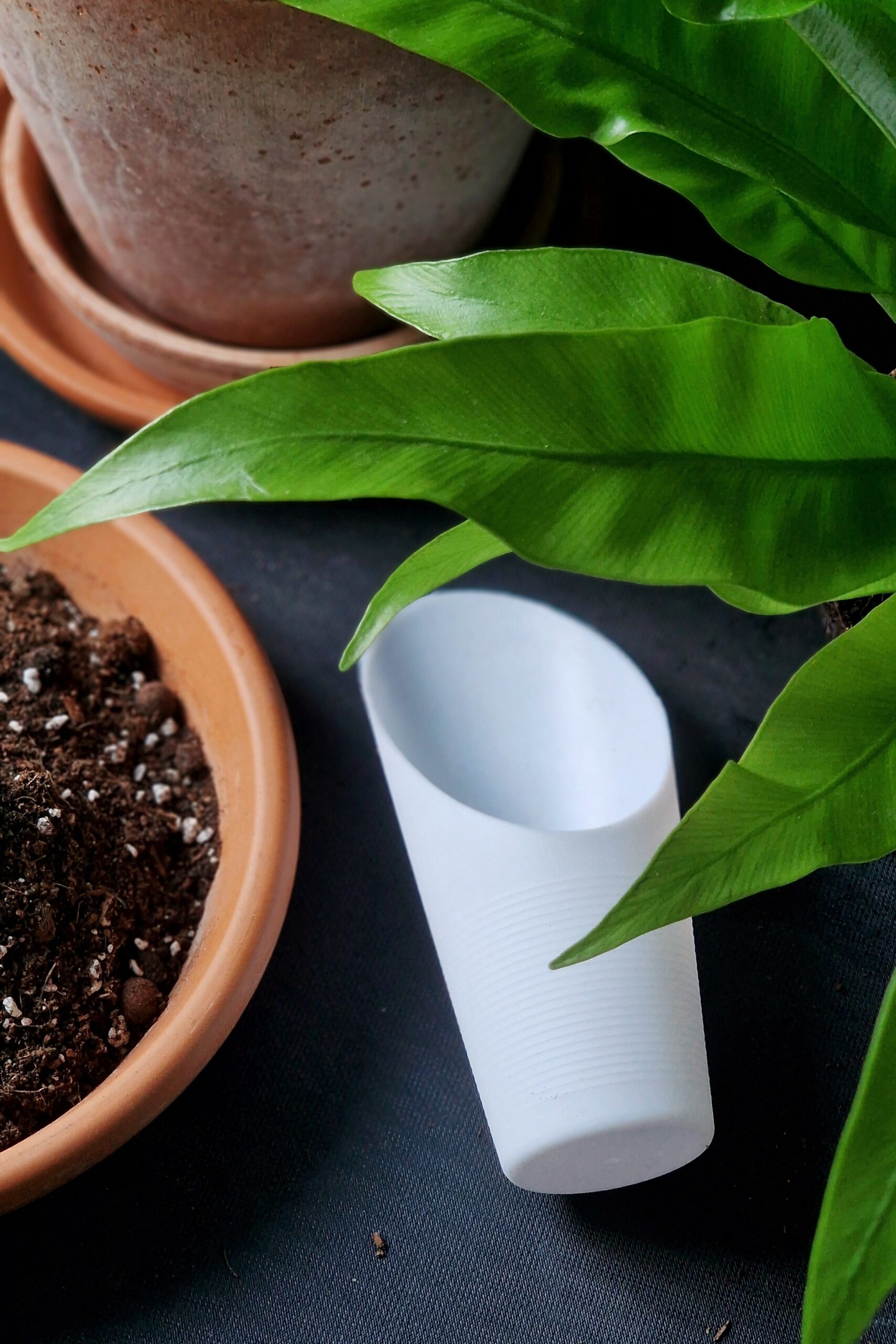 Multalapio - Image 3