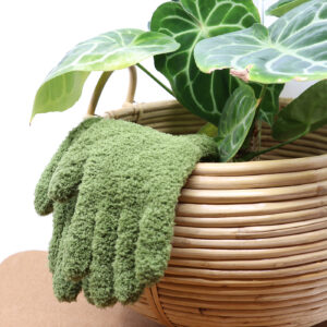 Pölyhansikkaat kasveille