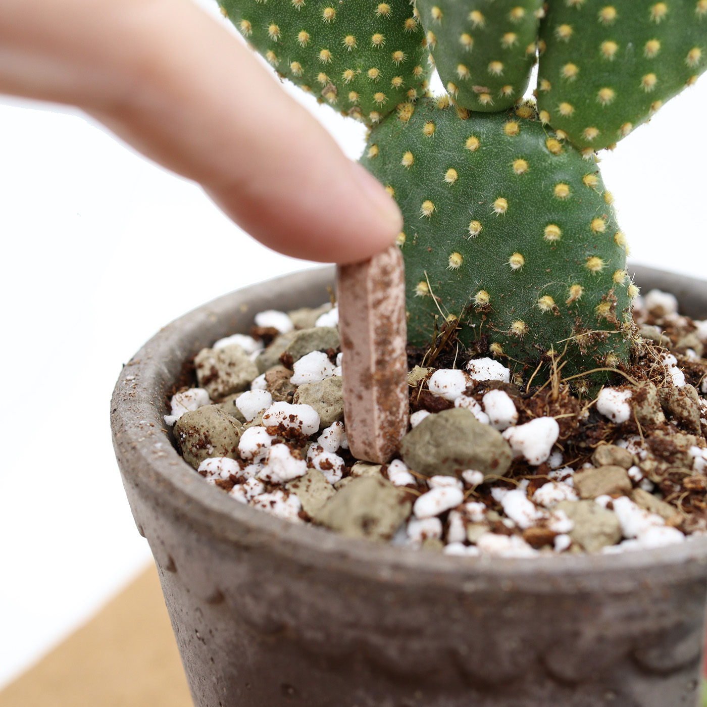 Provanto 2in1 Torjuntapuikko 20 kpl - Image 2