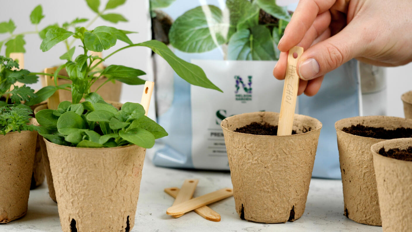 Premium kylvömulta Nelson Garden 4L