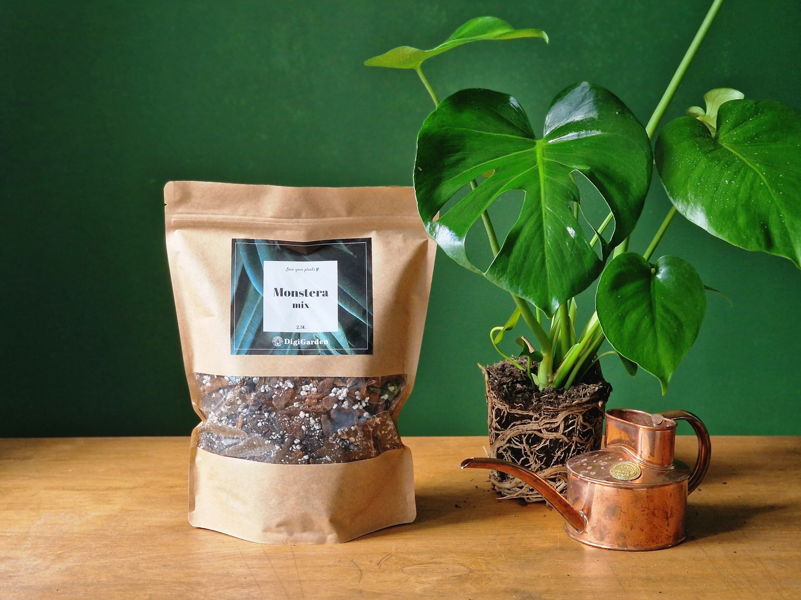 Monstera mix PEIKONLEHDILLE 2,5/5/8L - Image 2