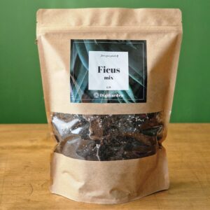 Ficus mix by DigiGarden 2,5/5L/8L
