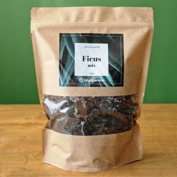 Ficus mix by DigiGarden