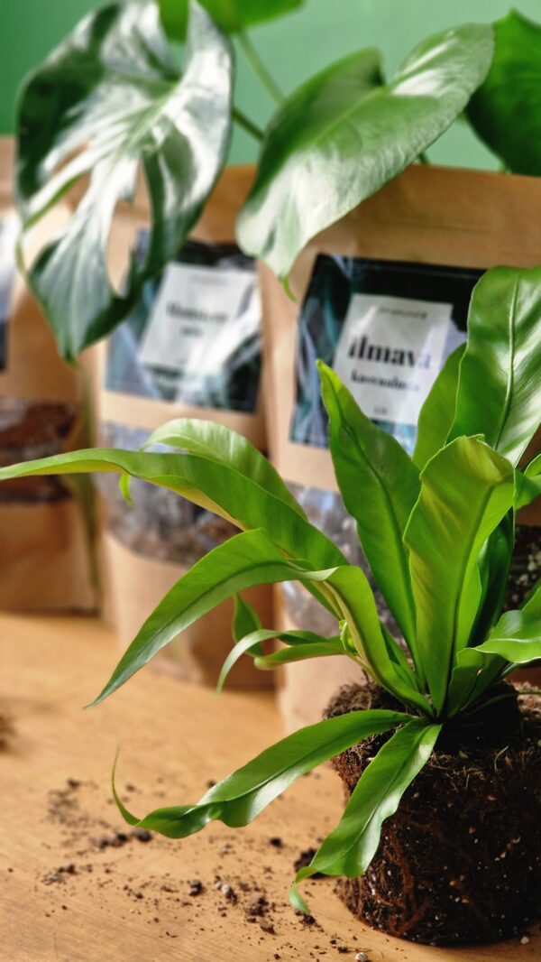 Premium kasvualusta by DigiGarden