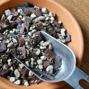 Aroid mix by DigiGarden VEHKAKASVEILLE 2,5/5L/8L