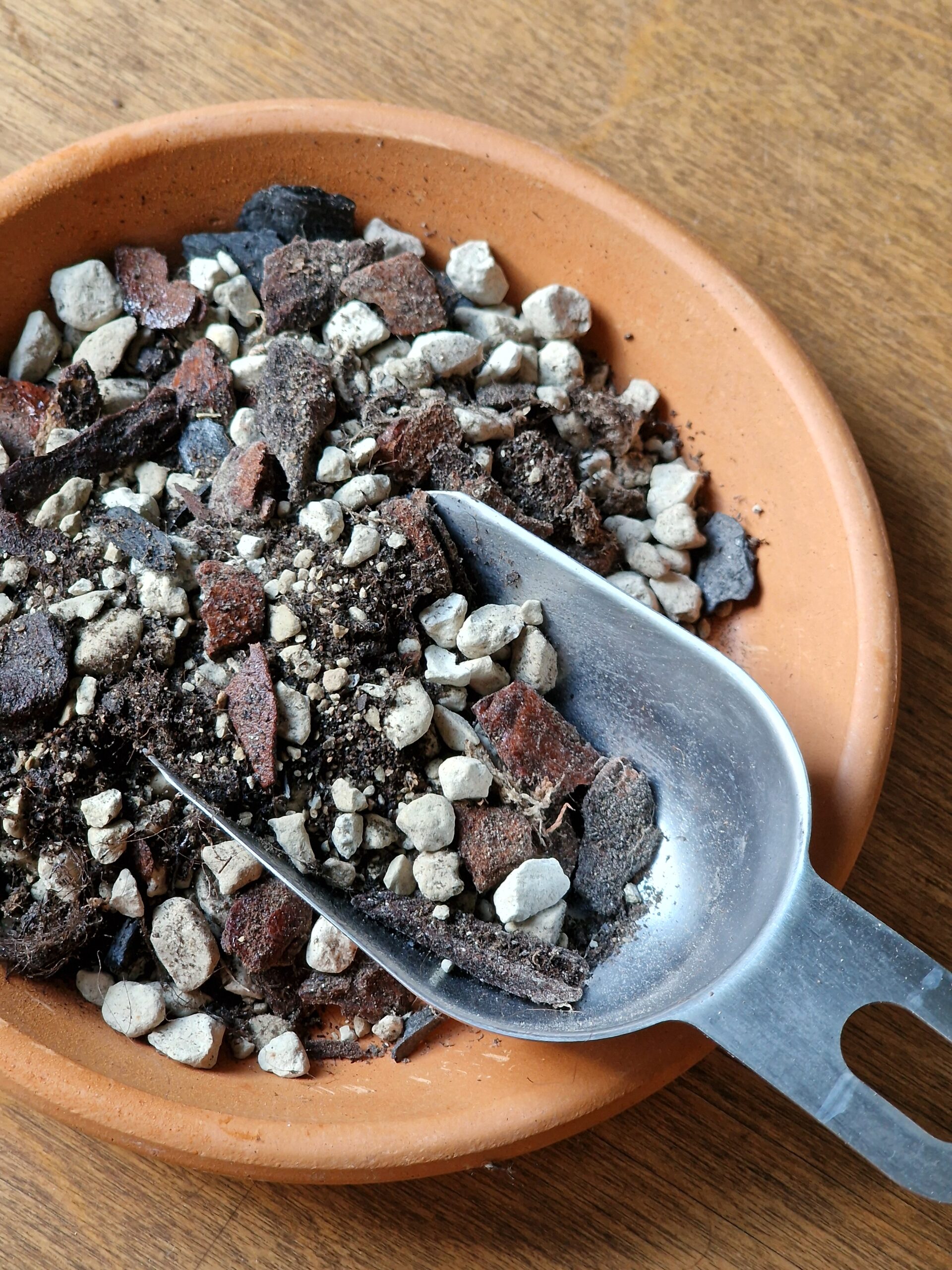 Aroid mix by DigiGarden 2,5/5L/8L - Image 3