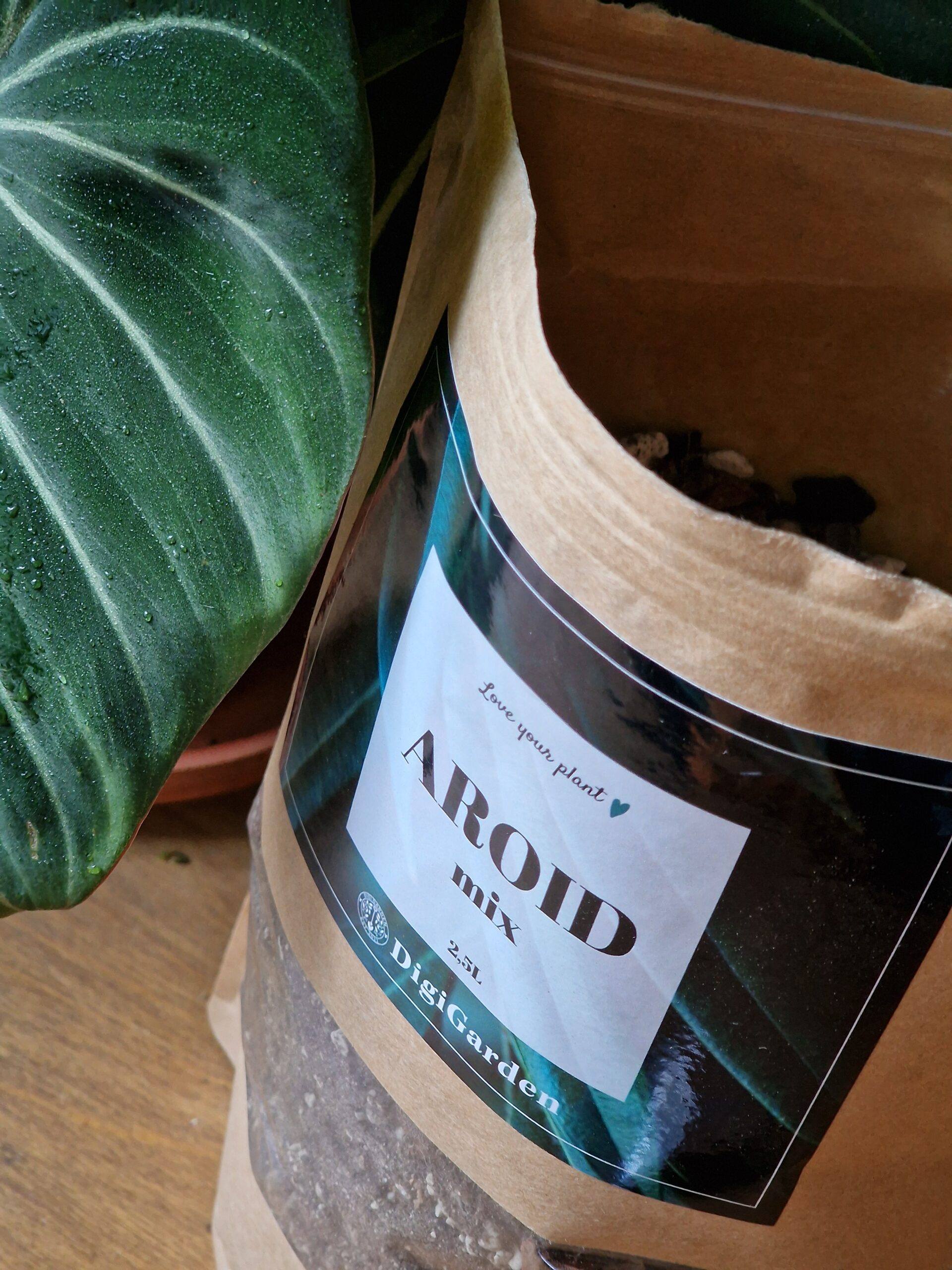 Aroid mix by DigiGarden 2,5/5L/8L - Image 4