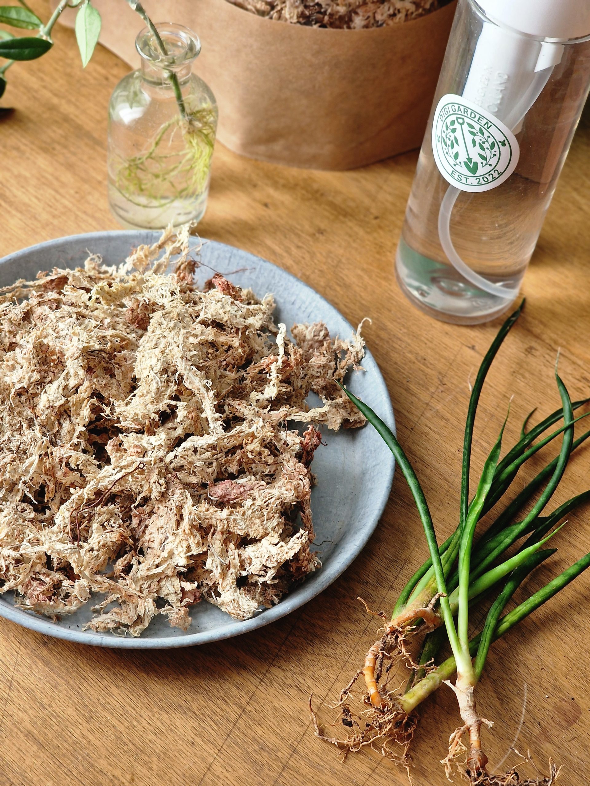 Rahkasammal by DigiGarden 2,5/5L