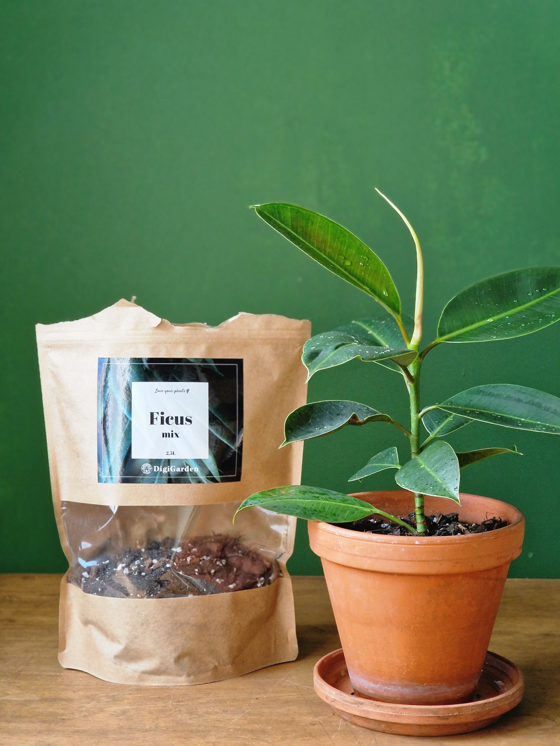Ficus mix by DigiGarden VIIKUNOILLE 2,5/5L/8L - Image 3