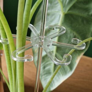 Kasvituki kirkas (3 kokoa)