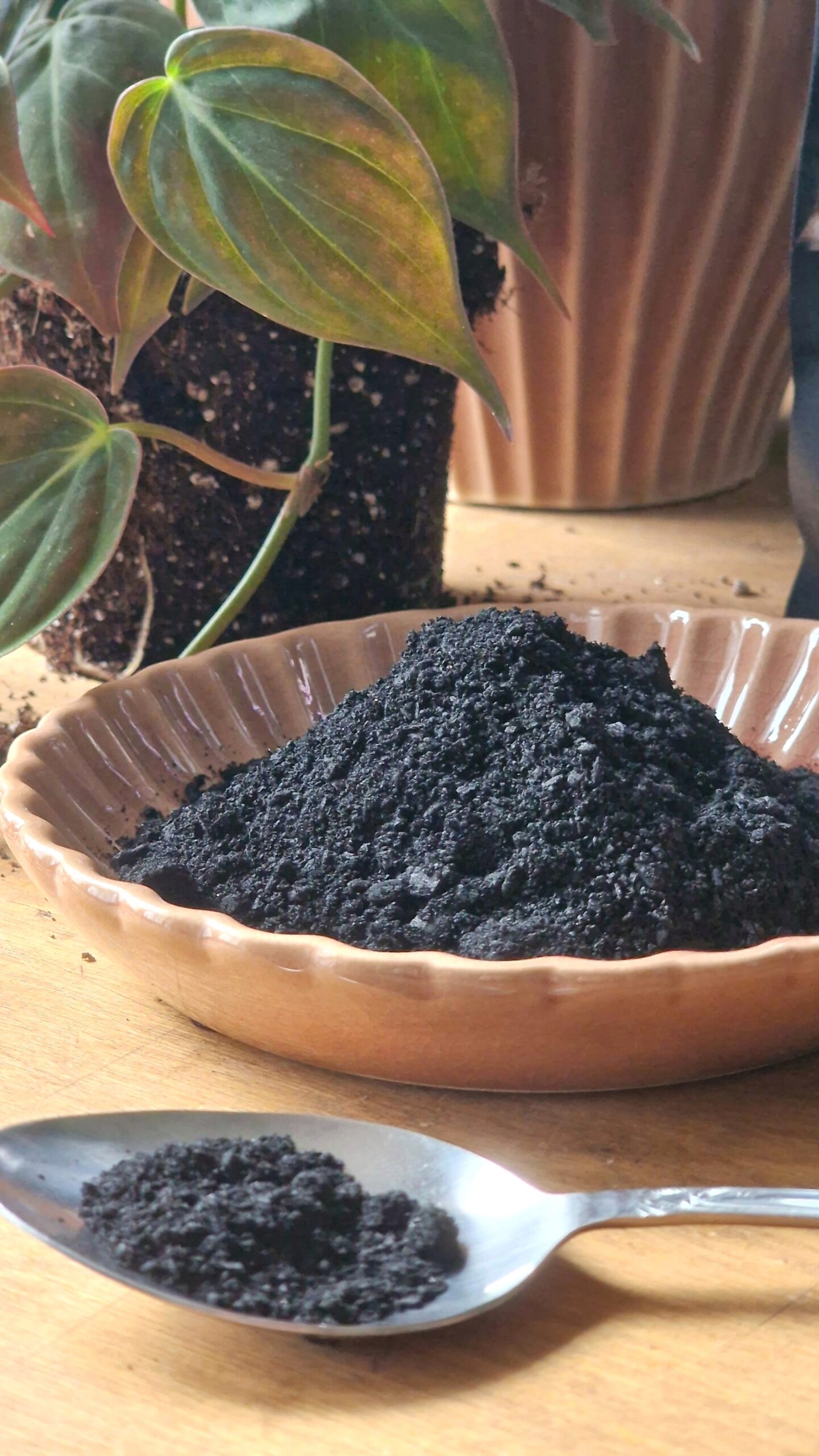 Ladattu biohiili by DigiGarden 2,5L - Image 2