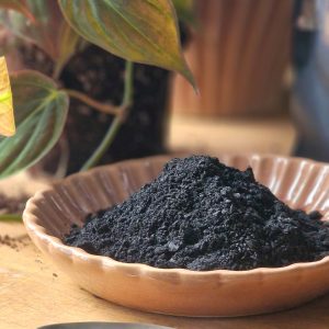 Ladattu biohiili by DigiGarden 2,5L