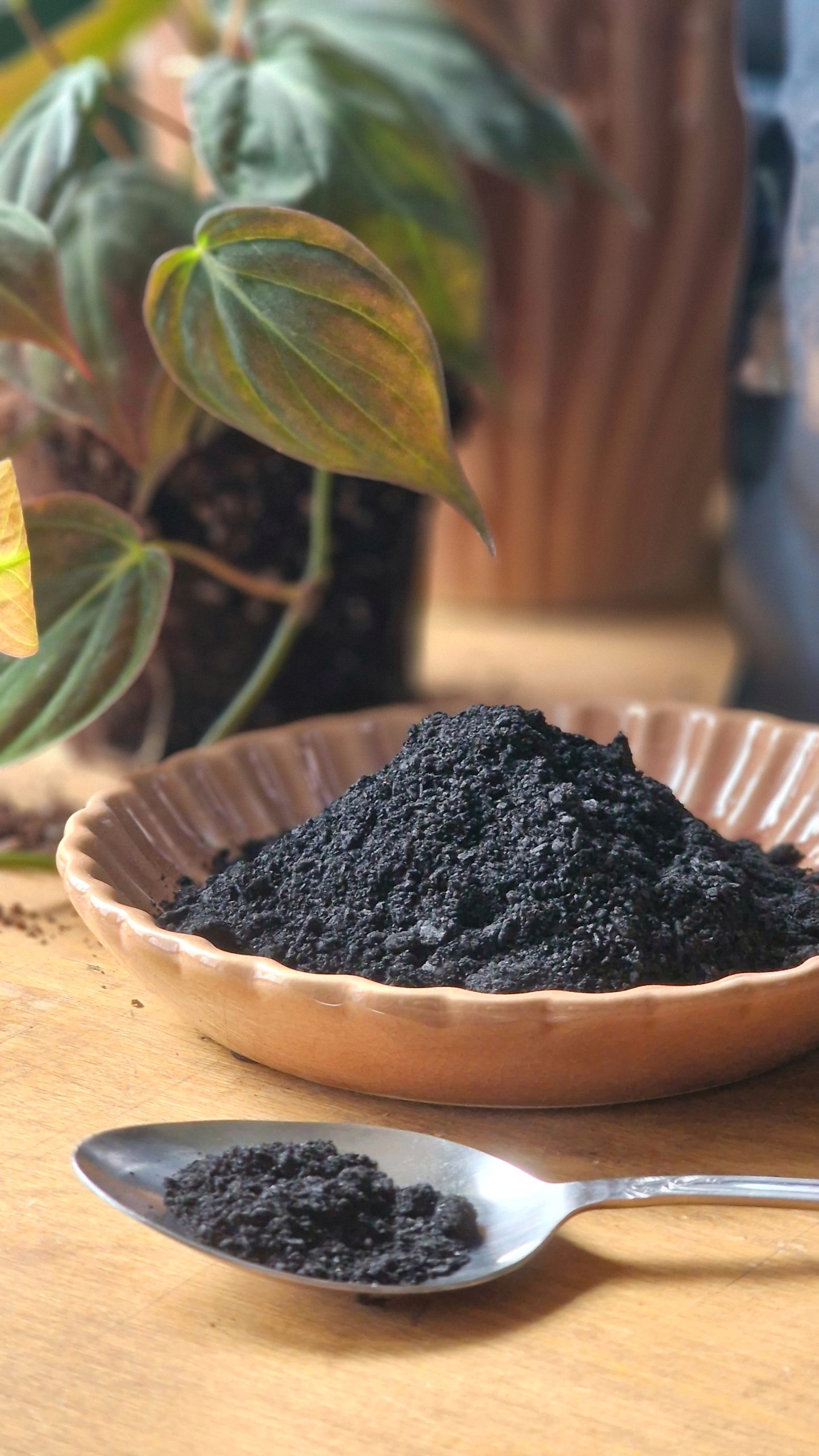 Ladattu biohiili by DigiGarden 2,5L