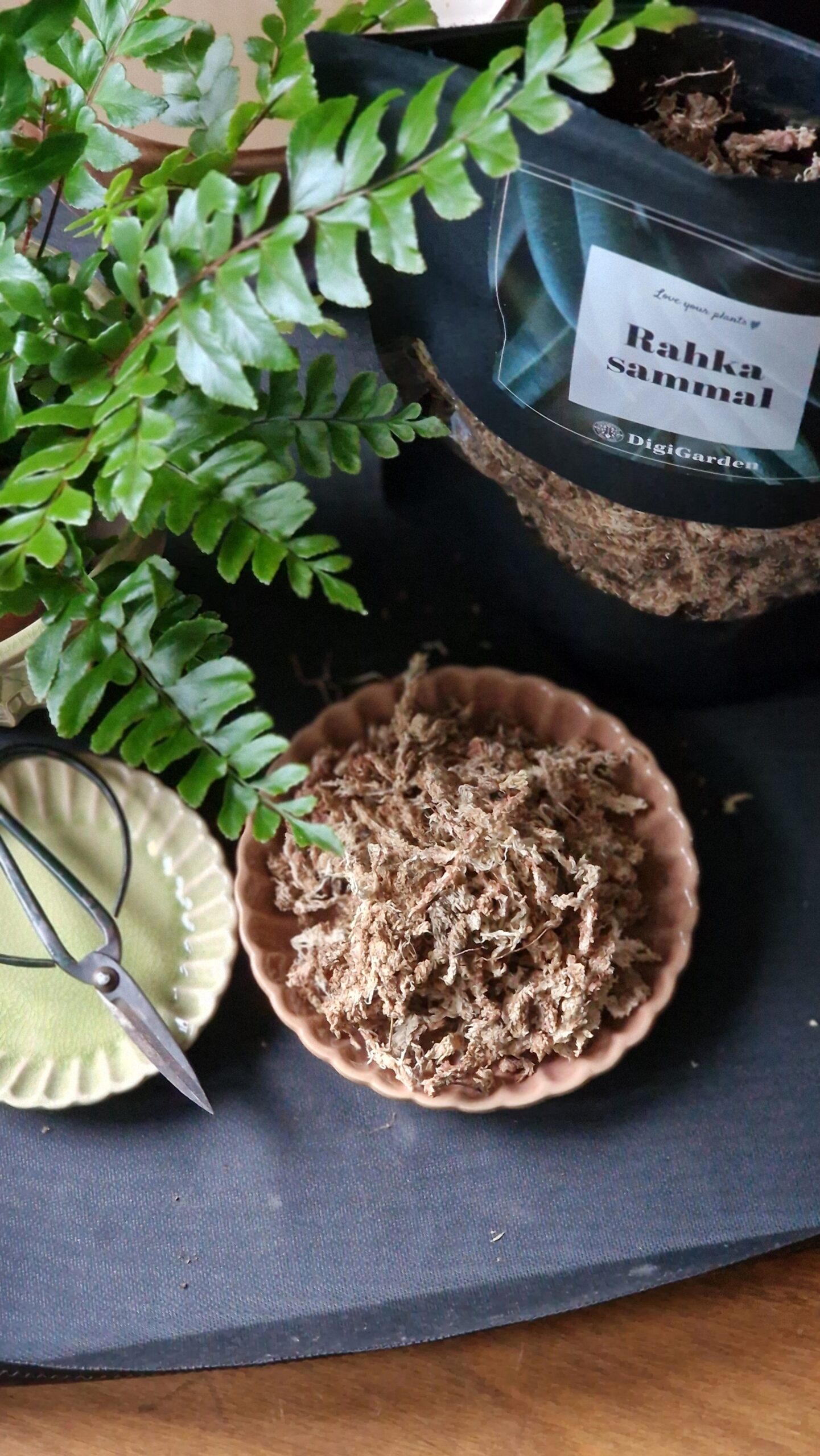 Rahkasammal by DigiGarden 2,5/5L - Image 3