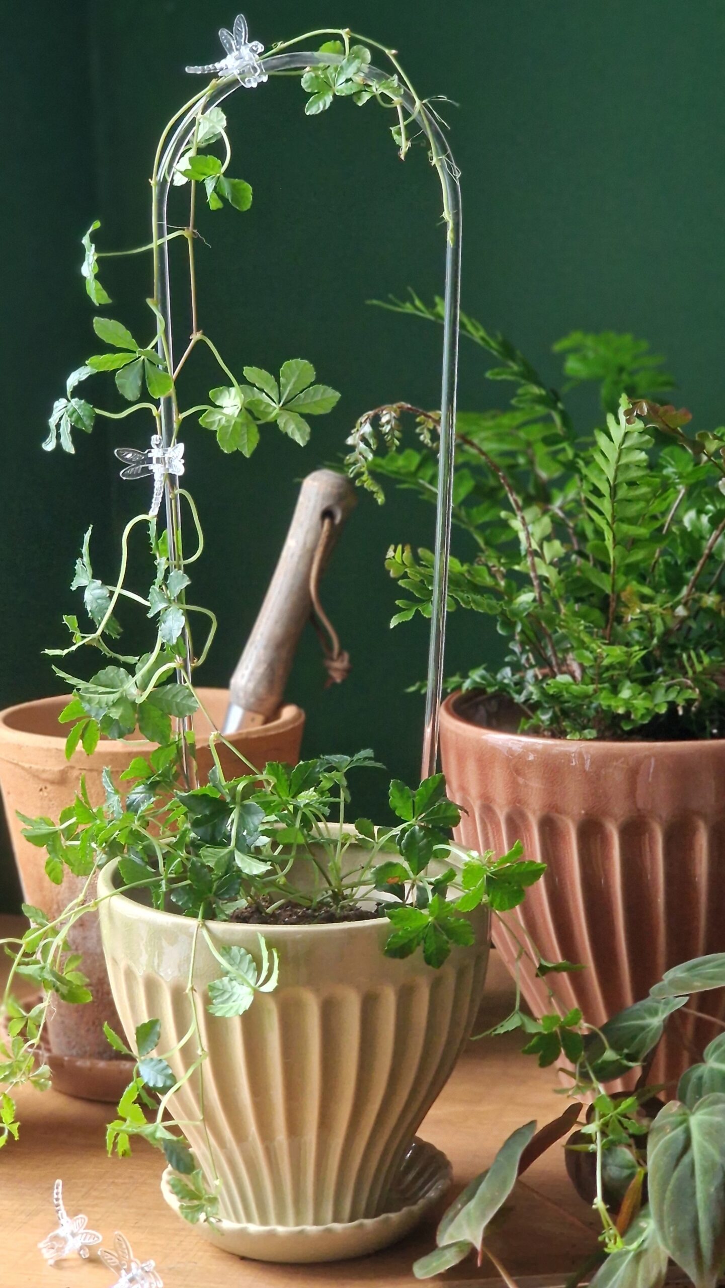 Sudenkorentoklipsi - Image 6