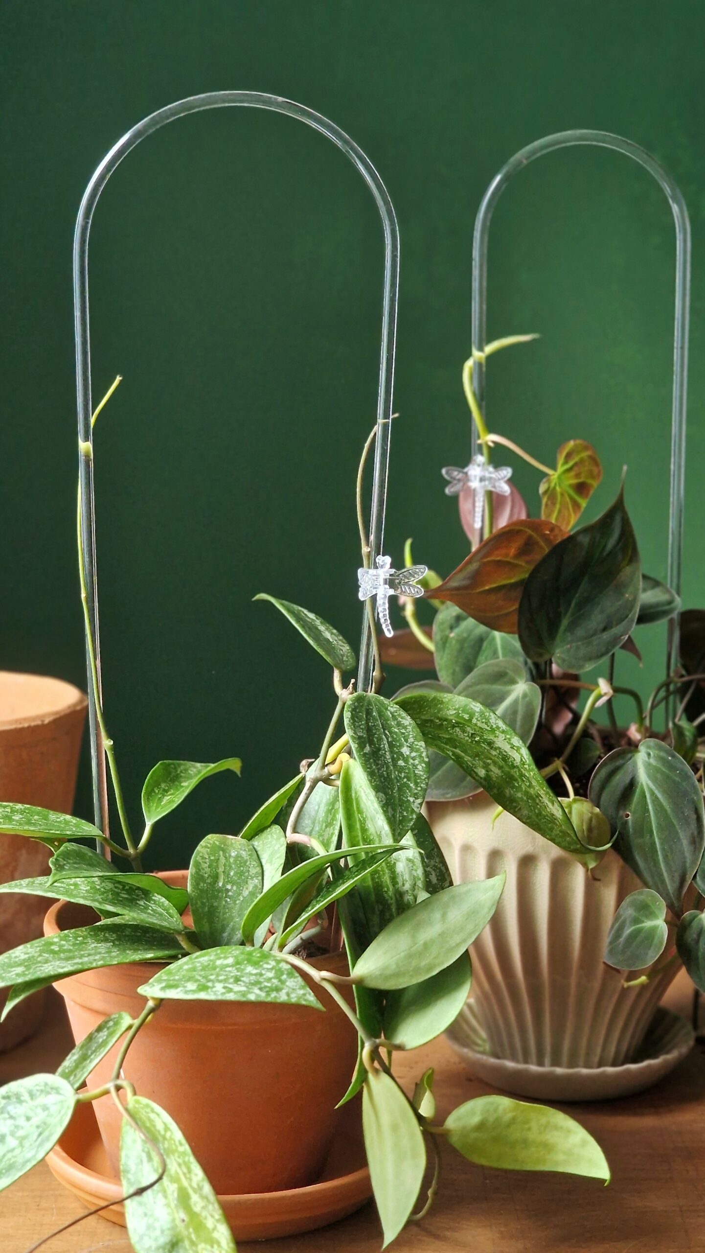 Kaarituki kirkas - Image 4