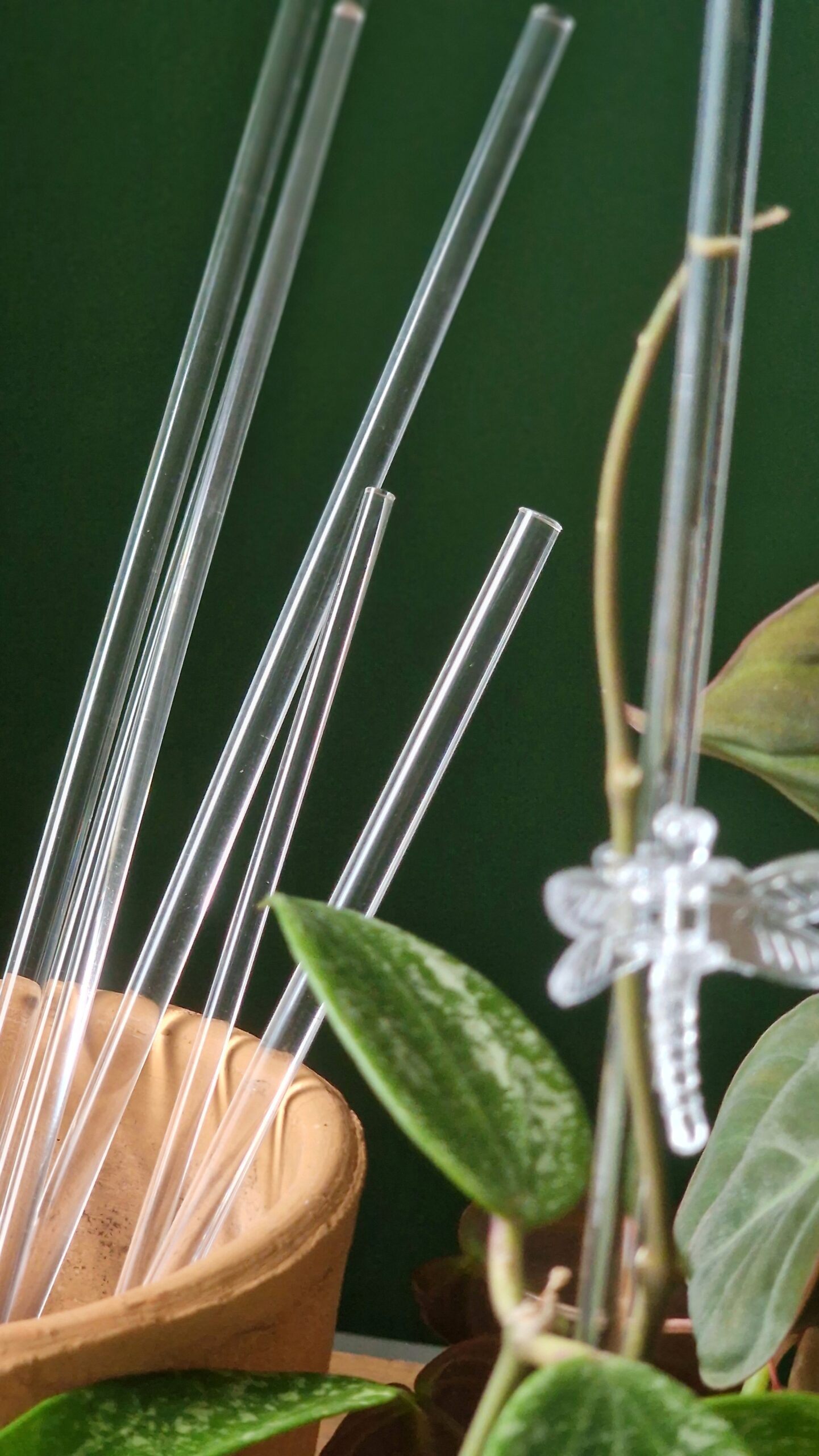 Tukikeppi kirkas - Image 3