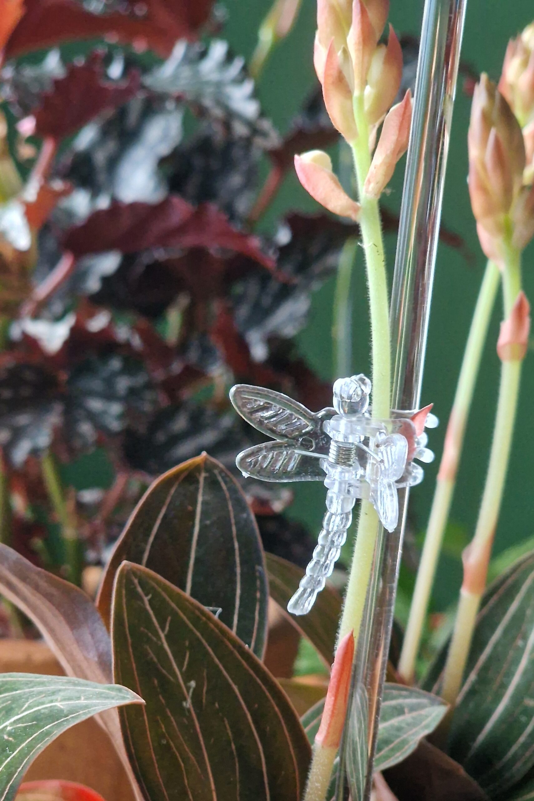 Tukikeppi kirkas - Image 4