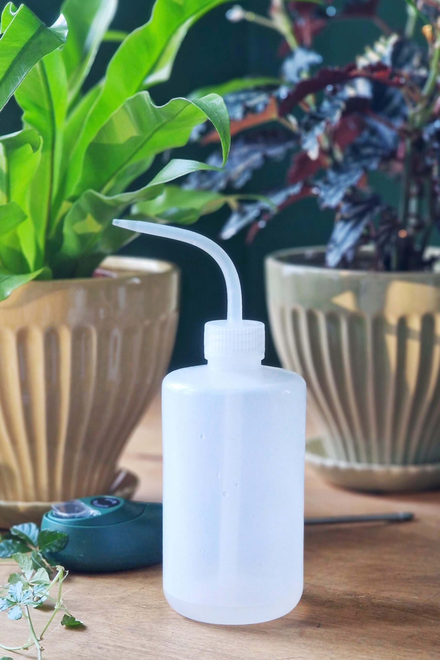 Kastelupullo nokalla - Image 3