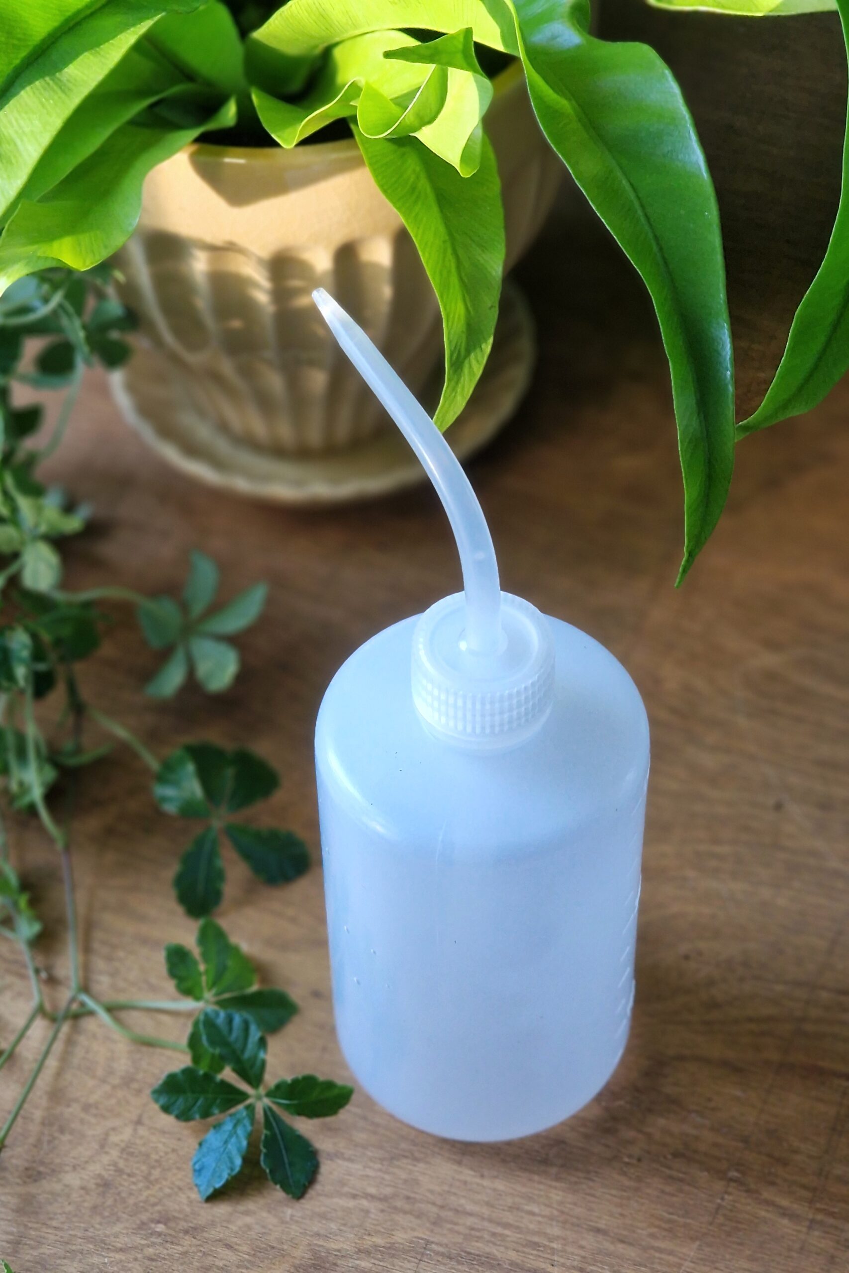 Kastelupullo nokalla