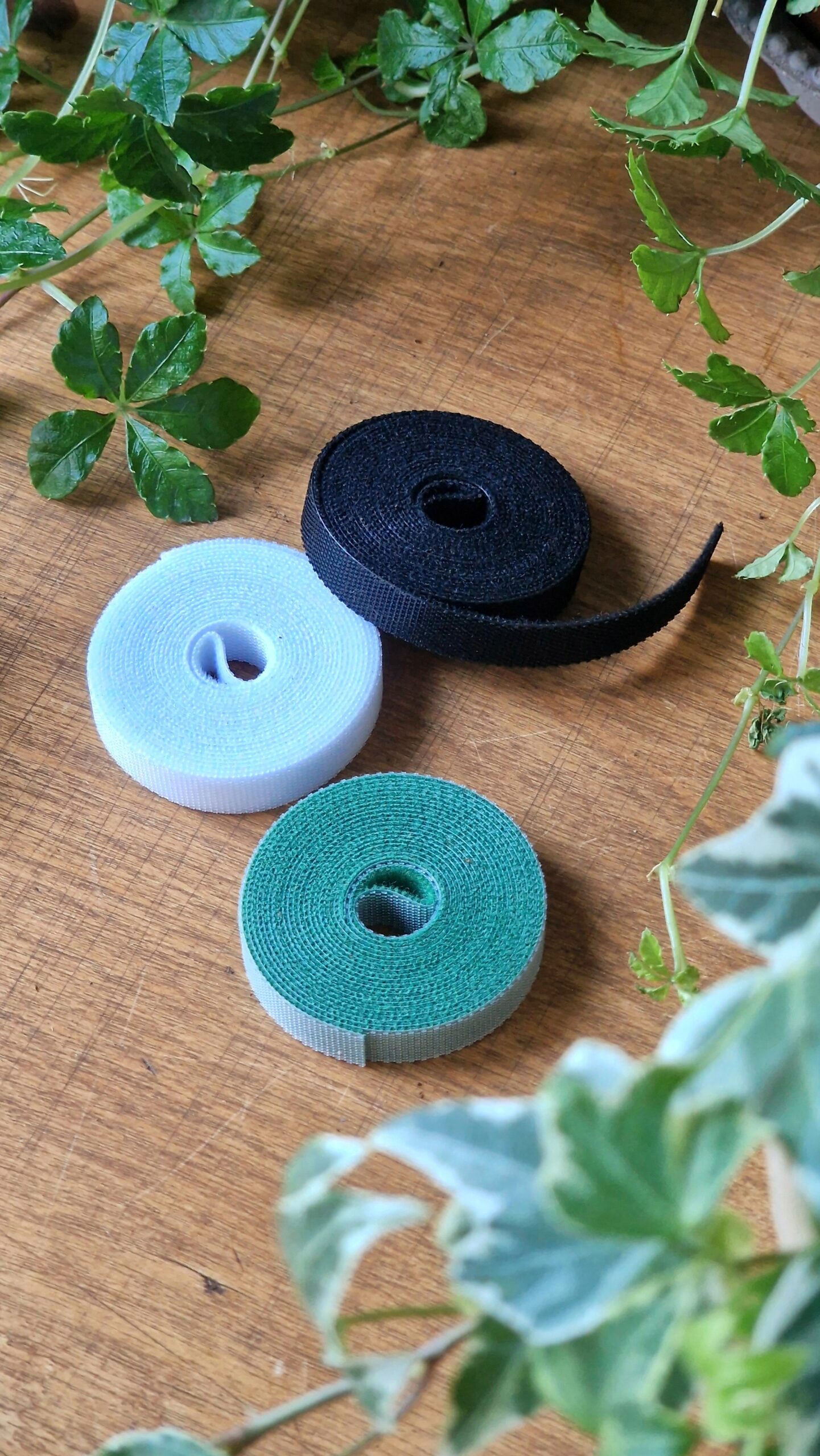 Tarranauha - Image 2