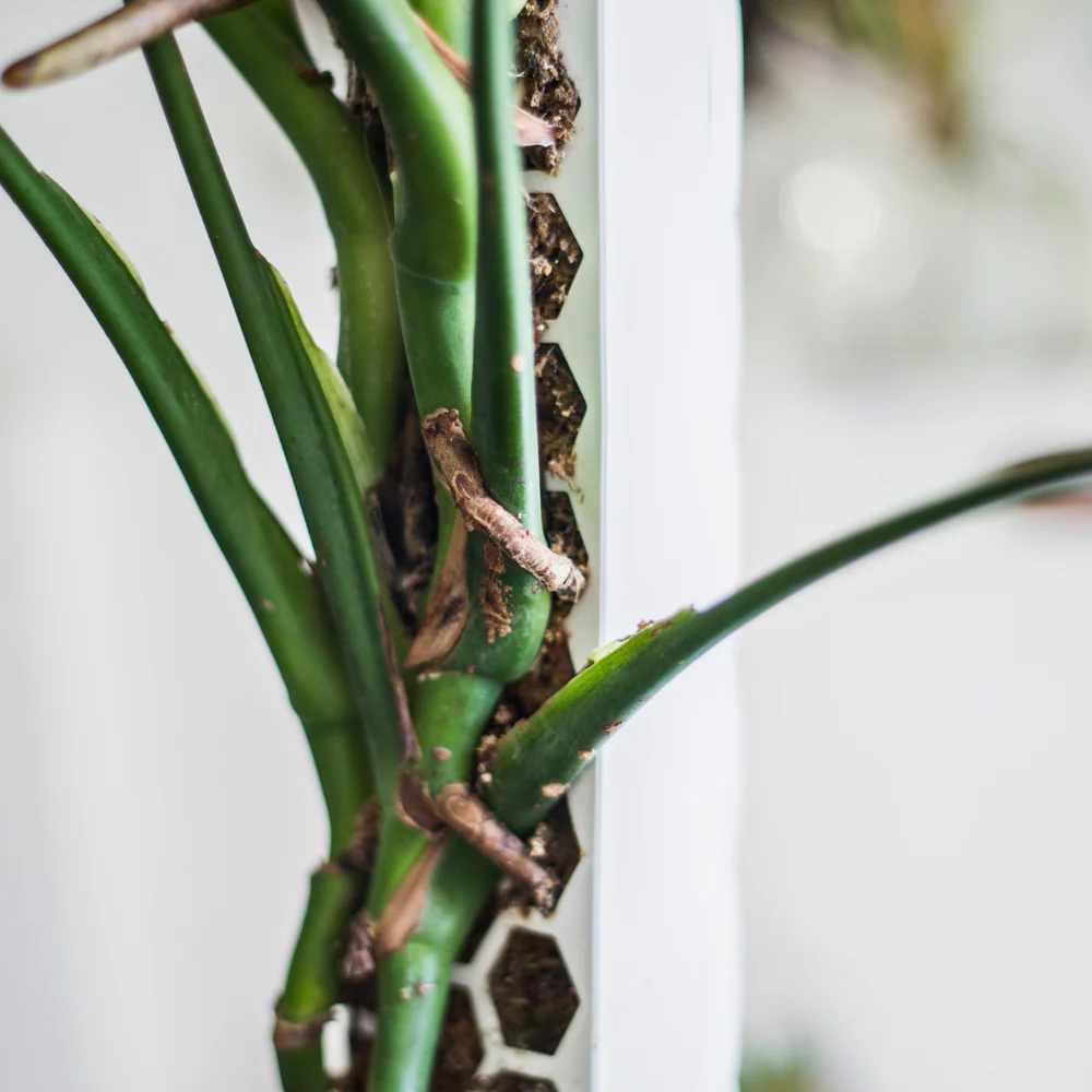 Sammaltolppa täytettävä (valkoinen M/L/XL) - Image 8