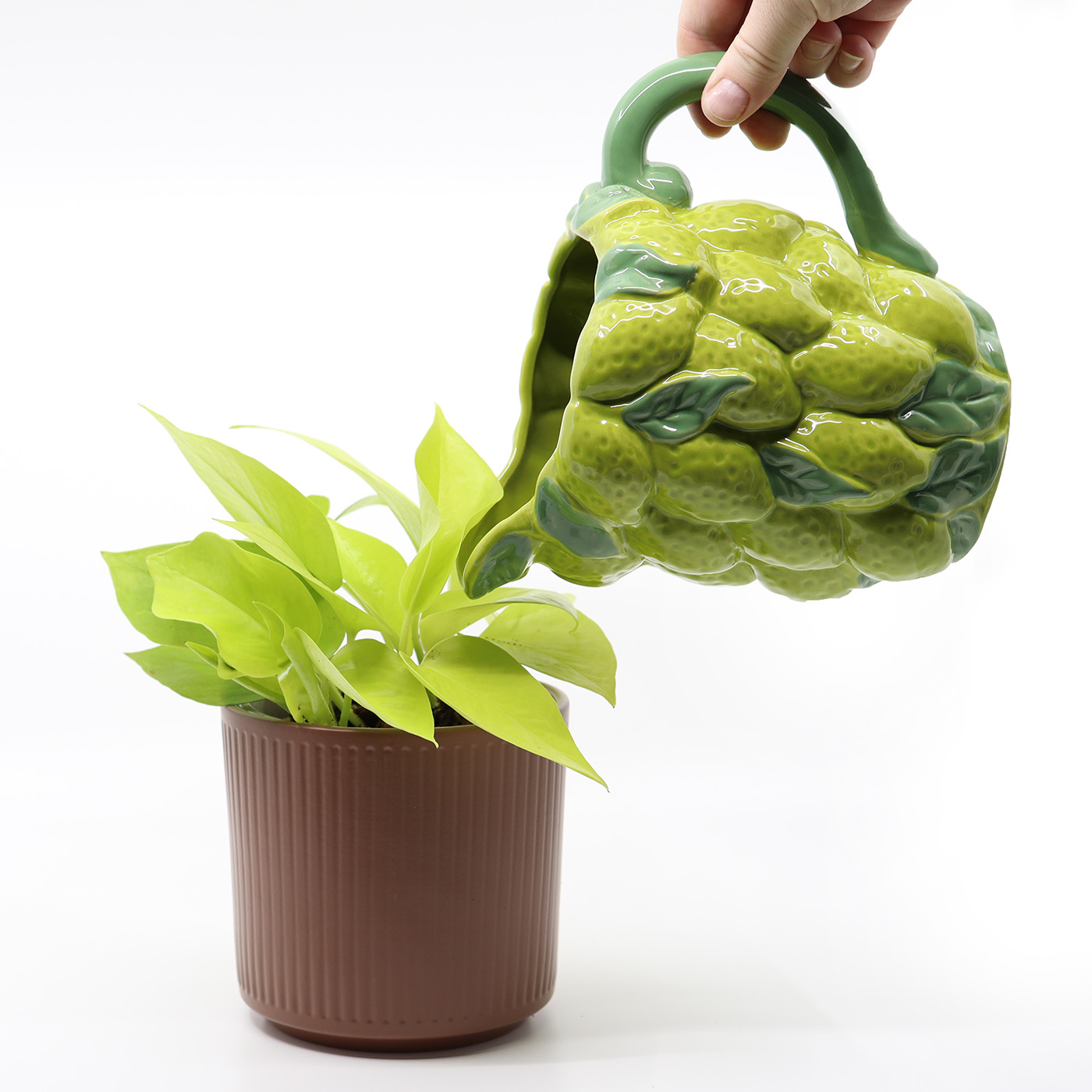 KULTAKÖYNNÖS 'Neon' + Aroid mix - Image 3