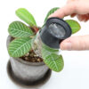 Luuppi 10x