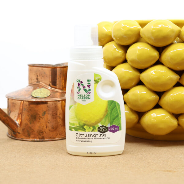 Sitrusravinne 250ml