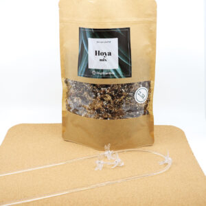 TUOTEPAKETTI: Hoida Hoya!