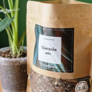 Alocasia mix by DigiGarden 2,5/5L/8L