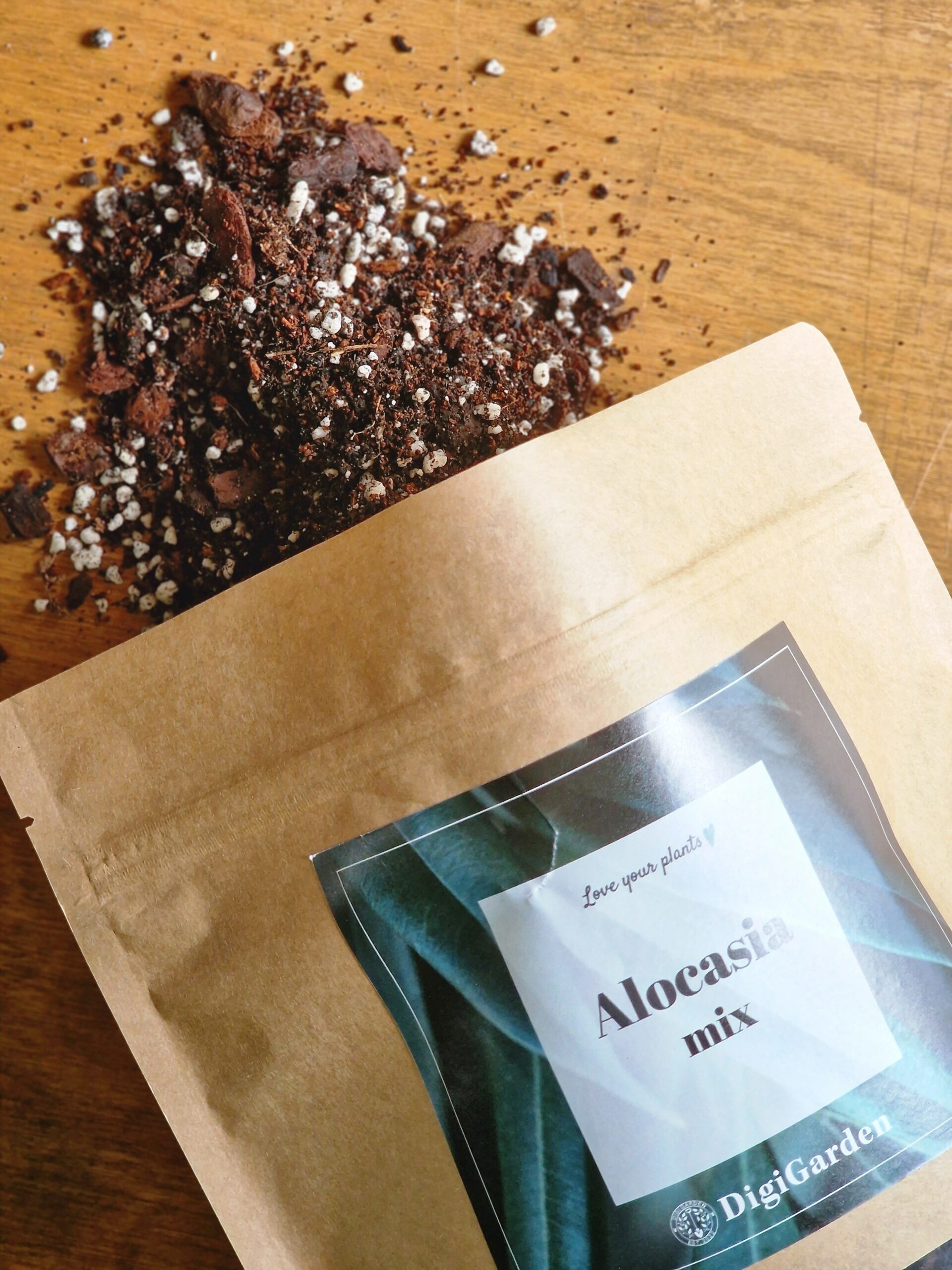 Alocasia mix by DigiGarden 2,5/5L/8L - Image 2