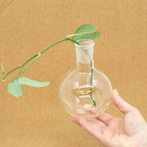 VINTAGE lasipullo iso