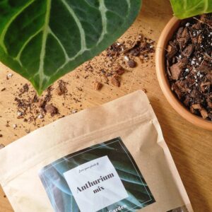 Anthurium mix by DigiGarden 2,5/5L/8L
