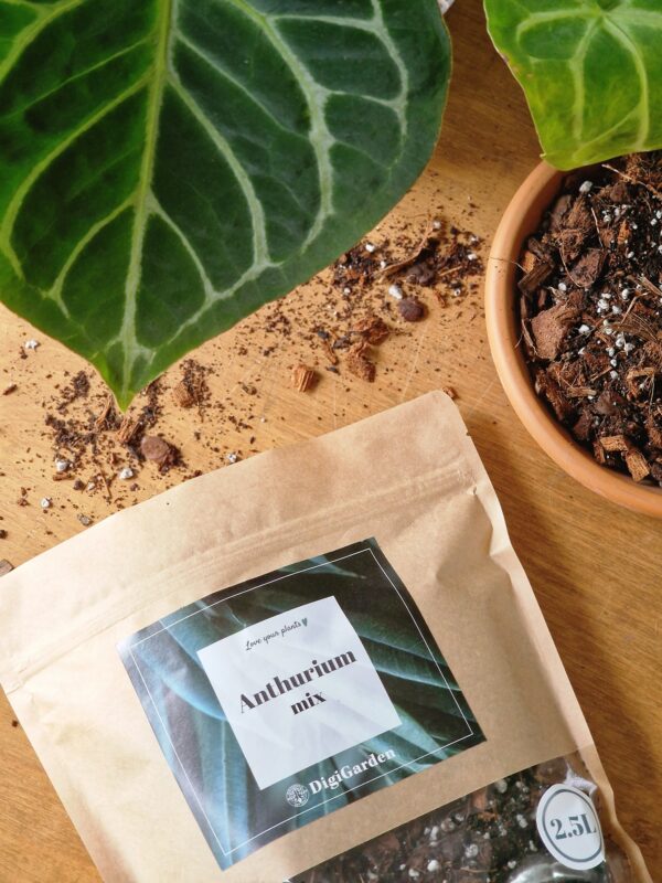 UUTUUS! Anthurium mix by DigiGarden
